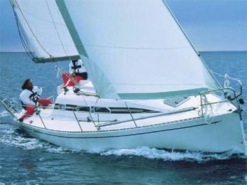 ELAN 295