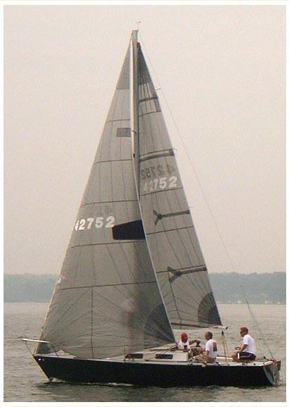 EVELYN 25