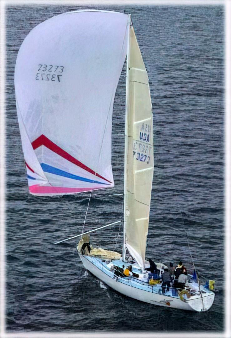 EVELYN 42