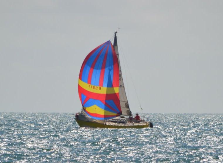 EVOLUTION 26
