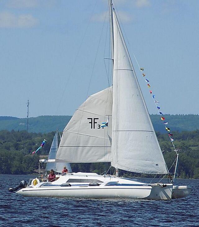 F-31 SPORT CRUISER