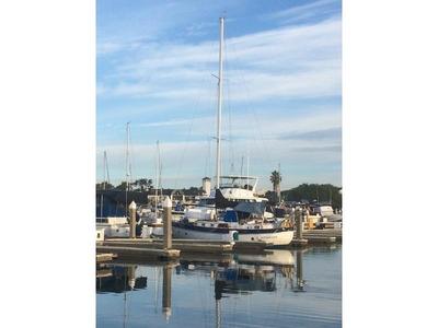 FANTASIA 35 (BINGHAM)