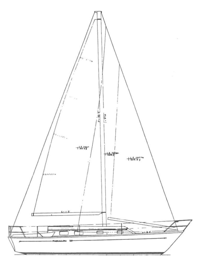 FARALLON 29