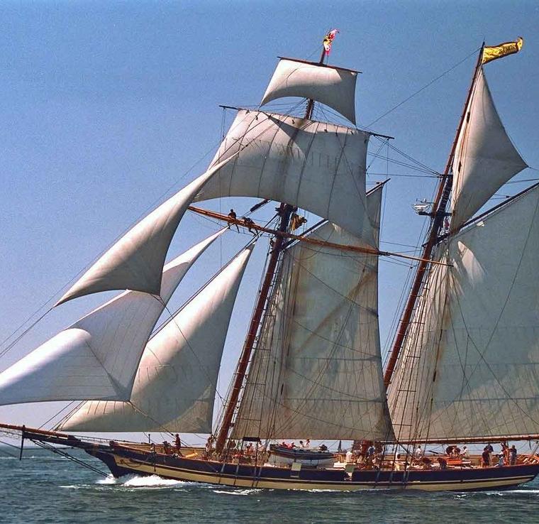 FARALLON CLIPPER