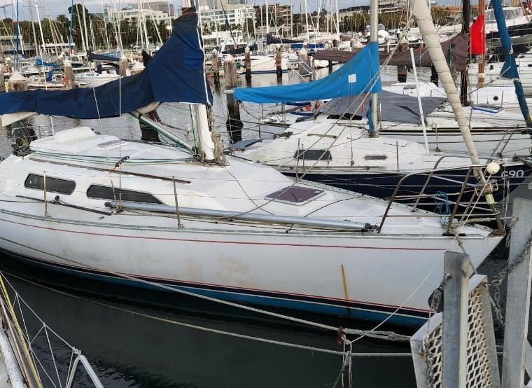 FARR 36 OD - 2002