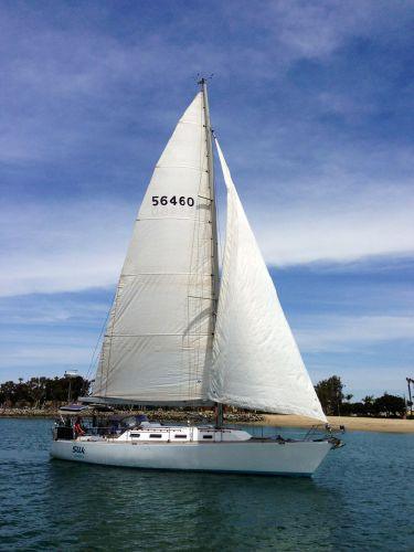 FARR 44