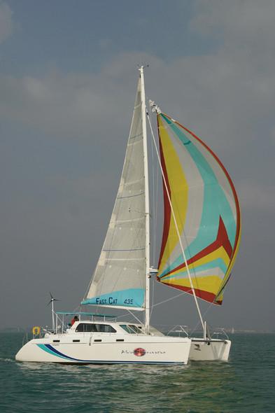FASTCAT 395
