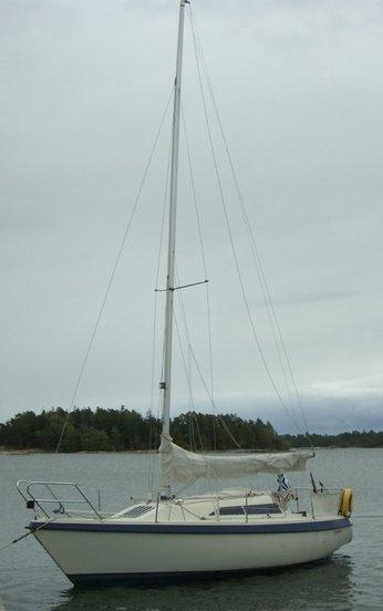FINN FLYER 31