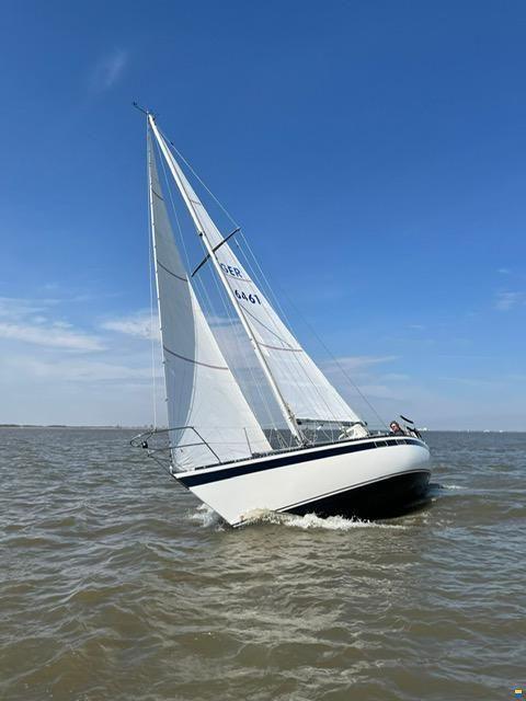 FINNFIRE 33