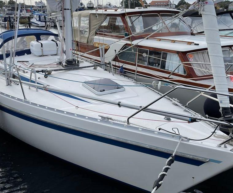 FINNGULF 31