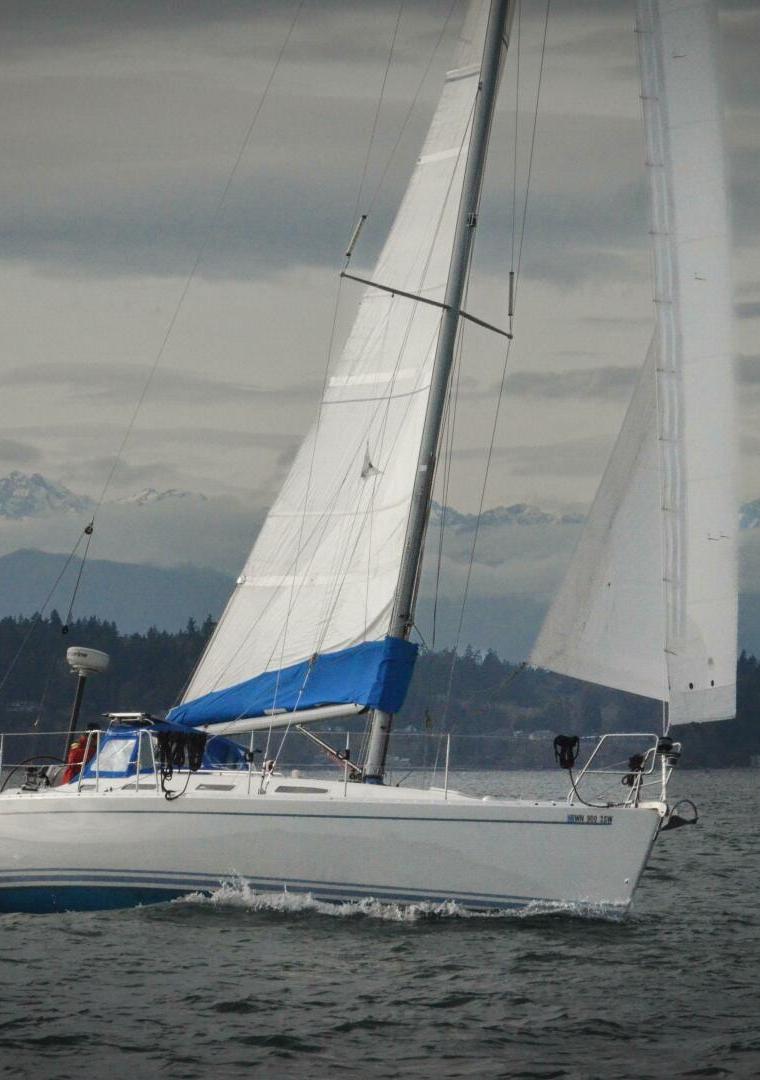 FINNGULF 41