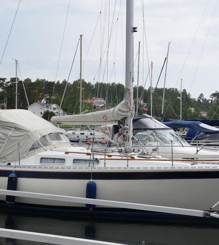 FORGUS 31