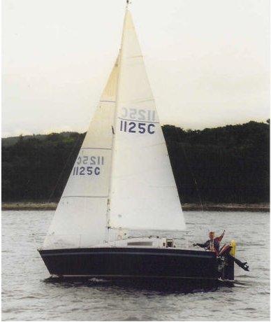FOX TERRIER 22