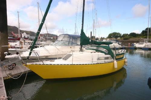 FOXHOUND 24