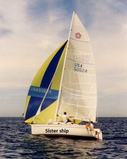 FREEDOM 24 (TRIPP)