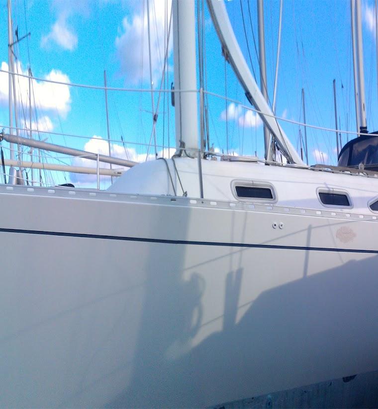 FREEDOM 30