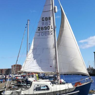 FREEWARD 25