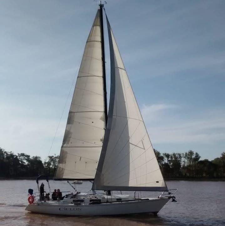 FRERS 36