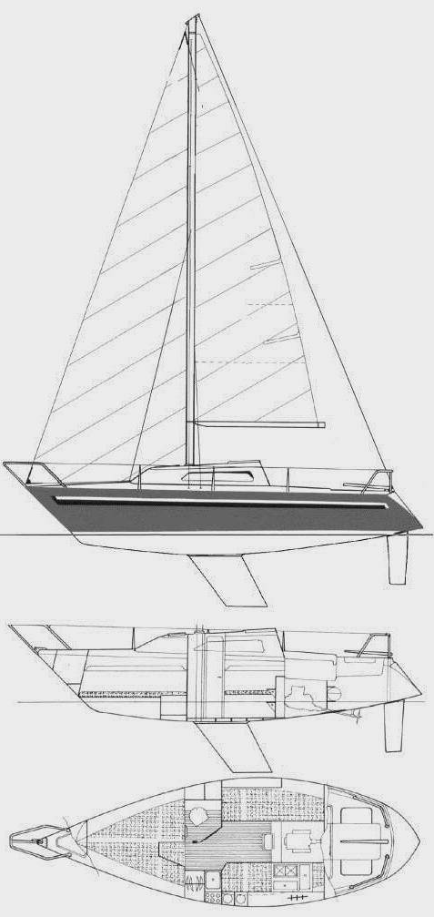 FURIA D25 (SANTARELLI)