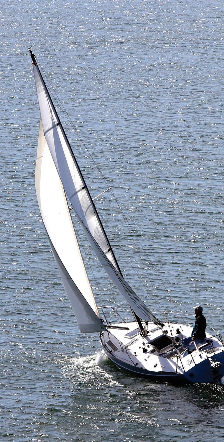 GANNET 40