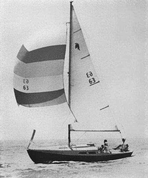 GLADIATOR 24