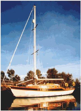 GOLDEN HIND 31