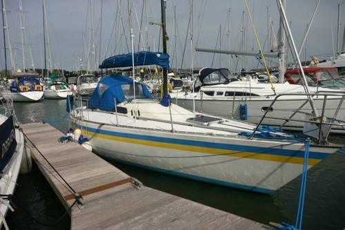 GOLDEN SHAMROCK 30