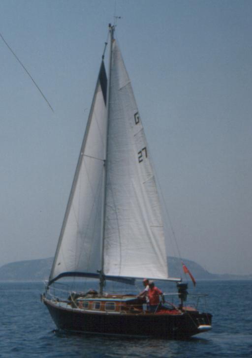 GOOSANDER 23