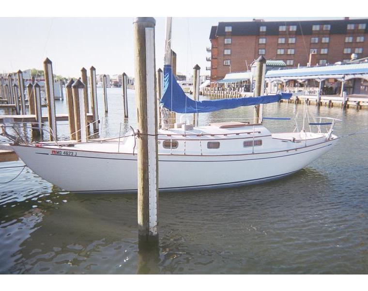 GRAMPIAN CLASSIC 31