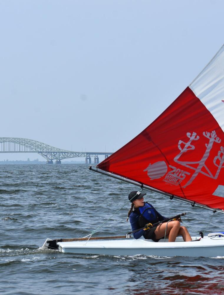 GREAT SOUTH BAY SHORE BIRD