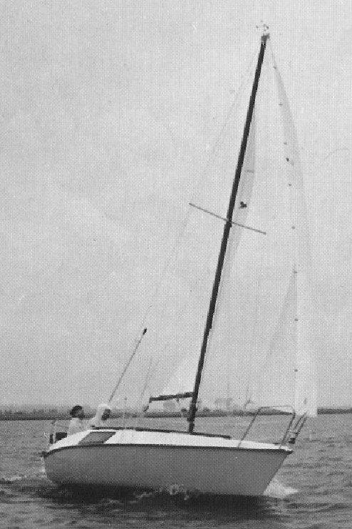 GREYHOUND 20