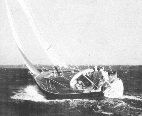GREYHOUND 33