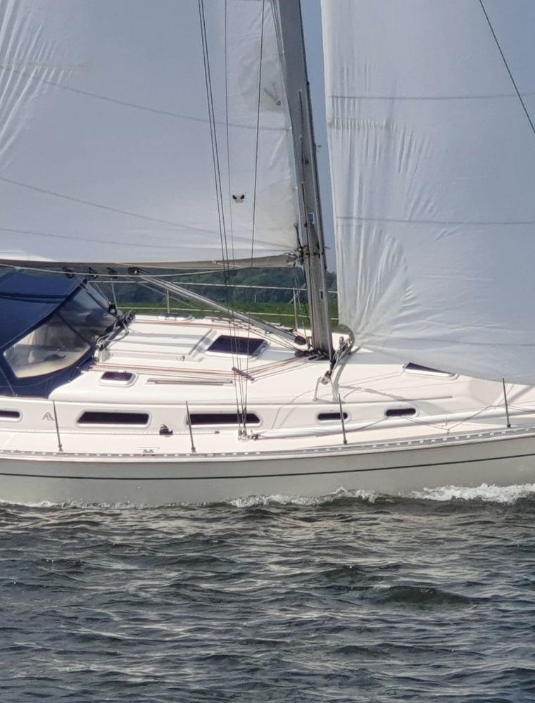 HANSE 371