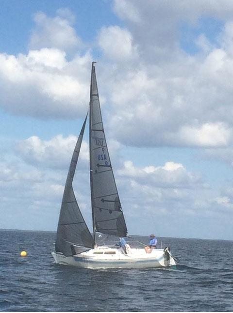 HARMONY 22