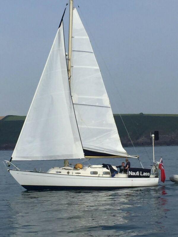HARMONY 31