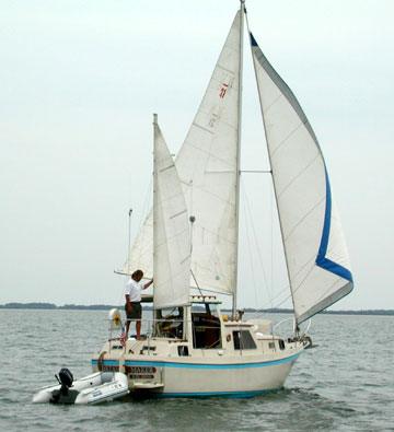 HARSTAD 31