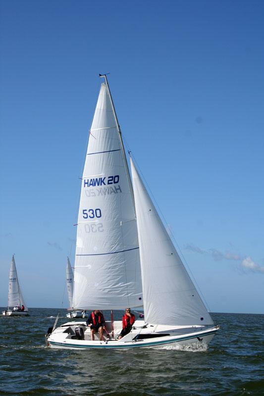 HAWK 20
