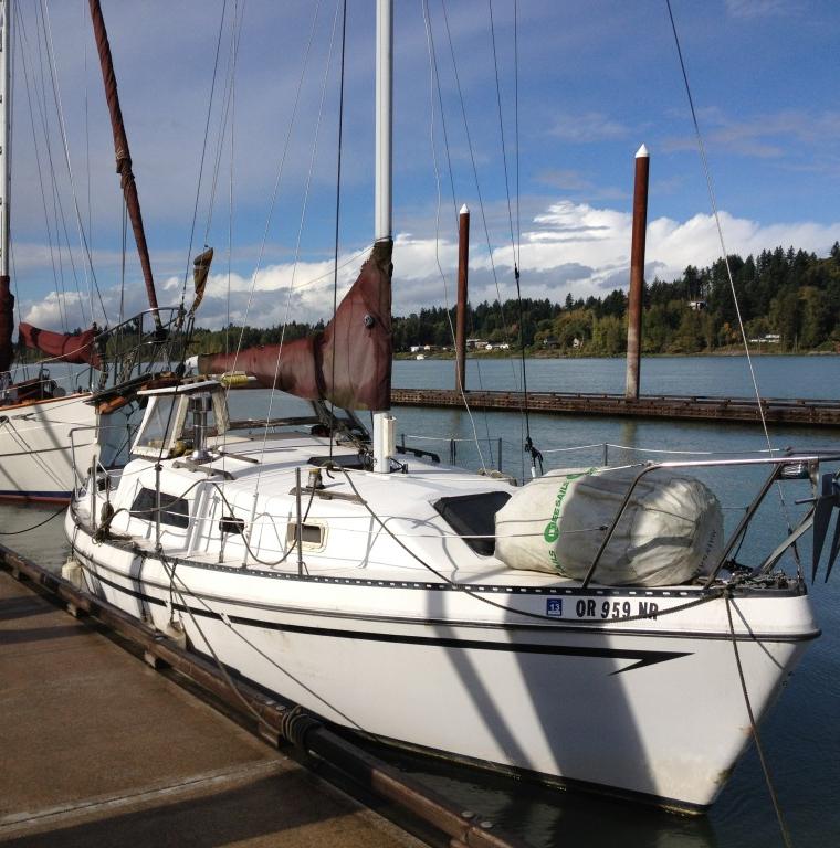 HAWKSBILL 24