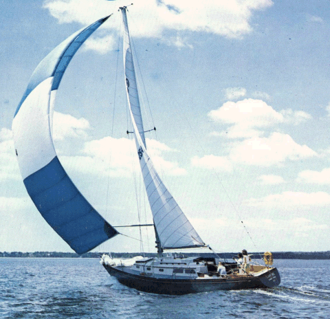 HINCKLEY 38