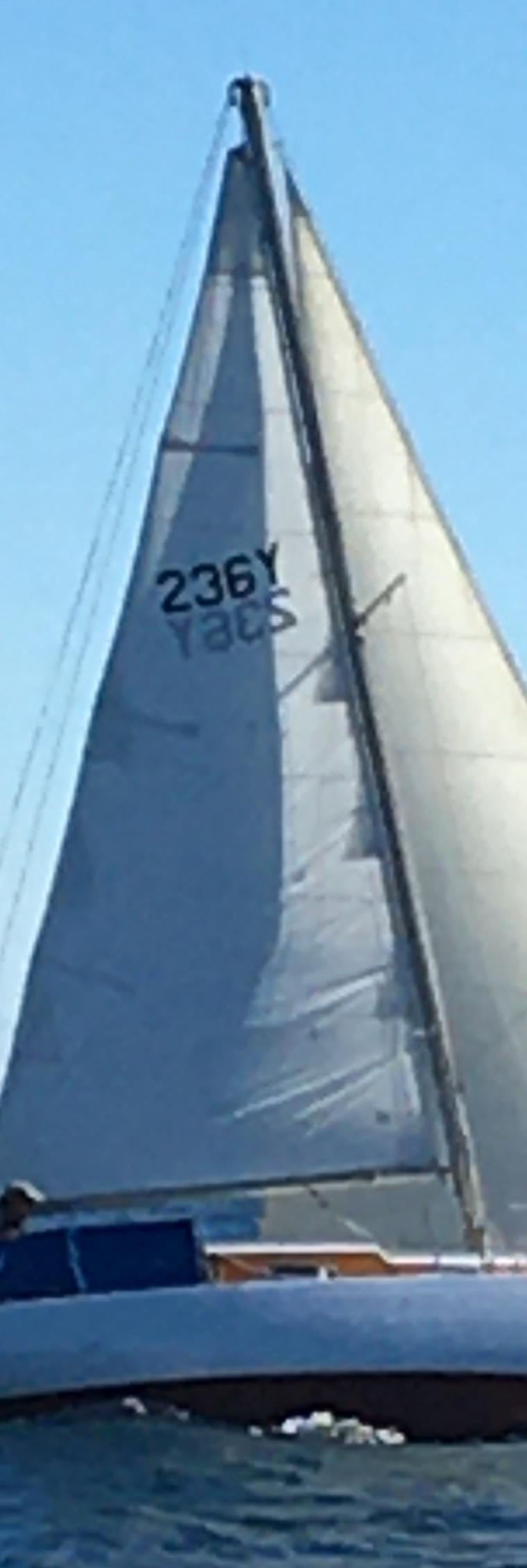 HOLMAN 26