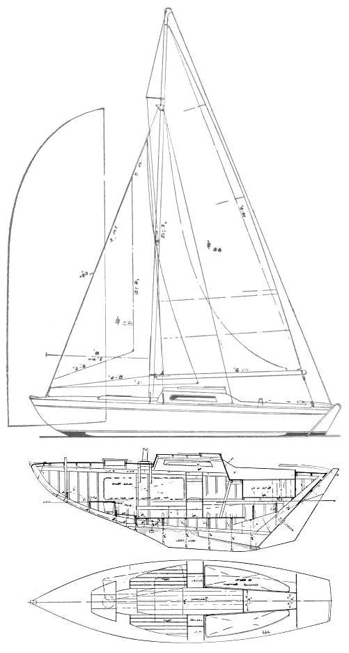 HONEY BEE 28