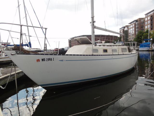 HULLMASTER 31