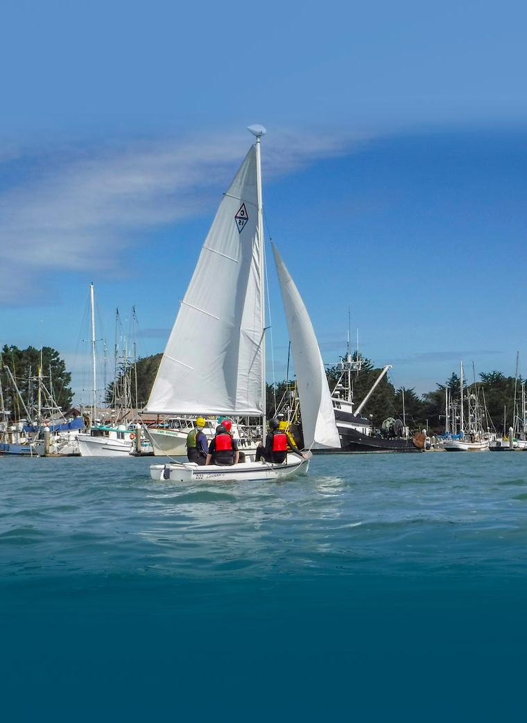 HUMBOLDT 30
