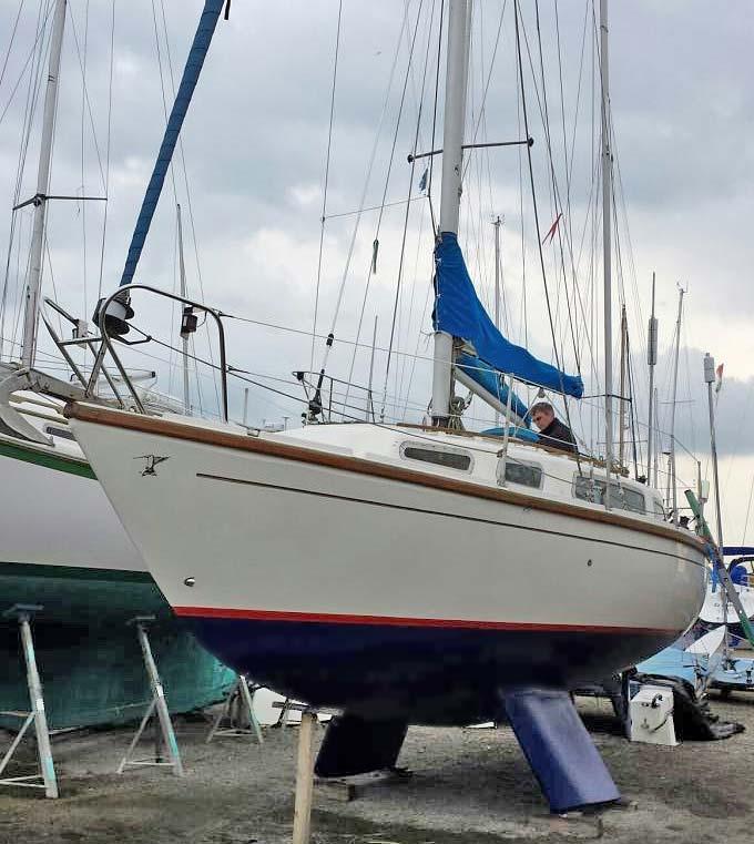 HUMMINGBIRD 30