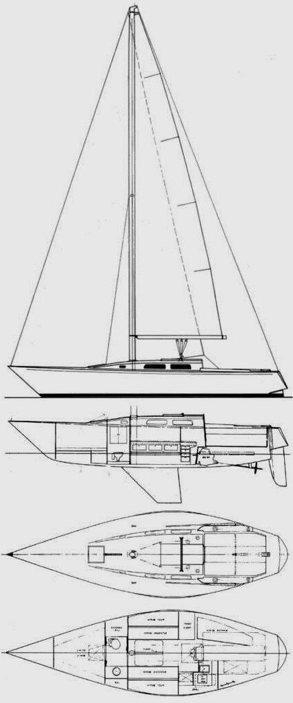 IMPALA 36 (PETERSON)