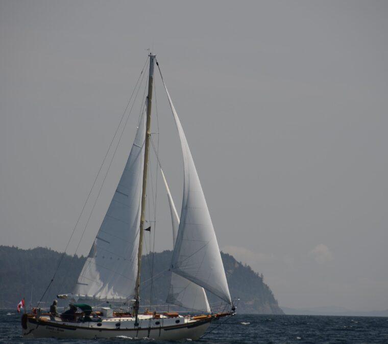 INGRID 38