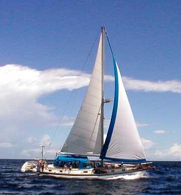 INTREPID 40