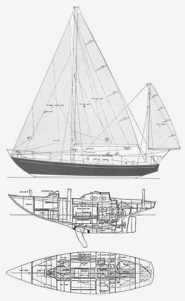 INVICTA II (TRIPP)