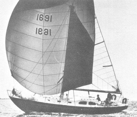 INVICTA (TRIPP)