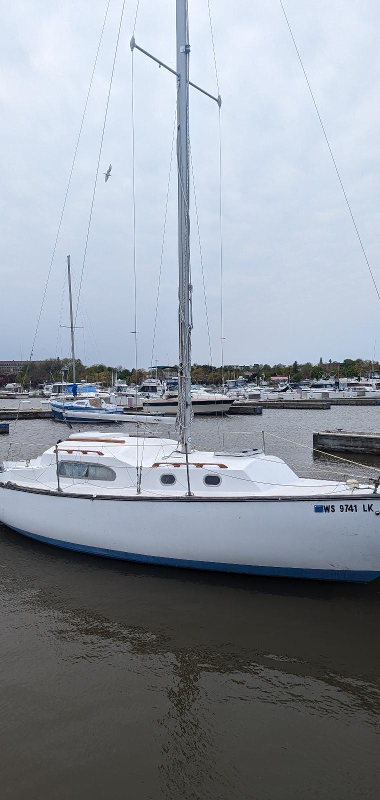 IRWIN 25